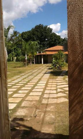 Vendo chácara em Ribamar fiquene !!!a 50k de Imperatriz - Foto 11
