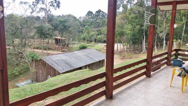 Chácara na colônia murici (são josé dos pinhais) - distrito. - Foto 7