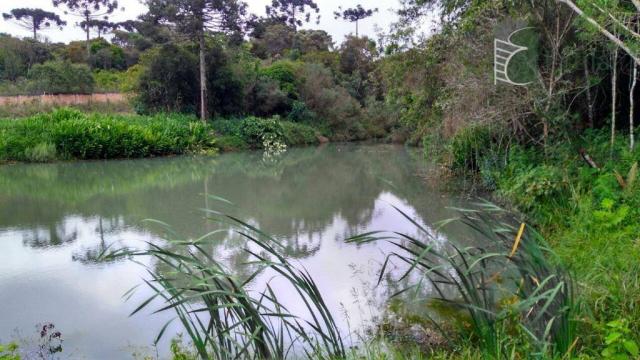 Chácara no campo largo da roseira, são josé dos pinhais. - Foto 2