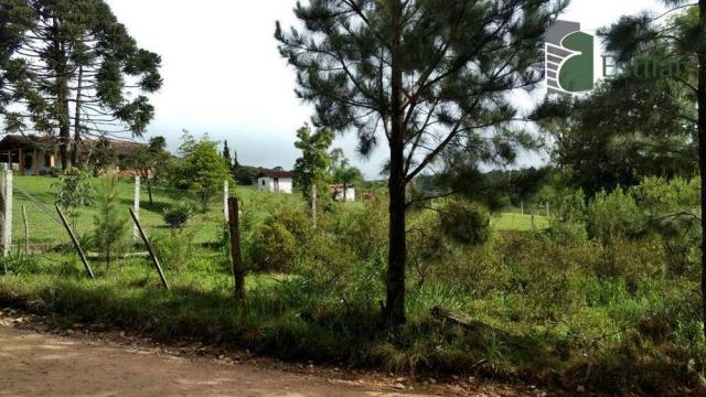 Chácara no curralinho em são josé dos pinhais. - Foto 3
