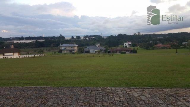 Terreno 15 minutos do centro de são josé dos pinhais. - Foto 5