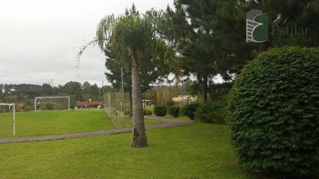 Terreno 15 minutos do centro de são josé dos pinhais. - Foto 4