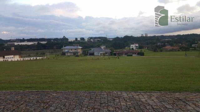 Terreno 15 minutos do centro de são josé dos pinhais. - Foto 10