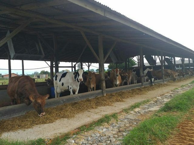 Terreno rural - Foto 2