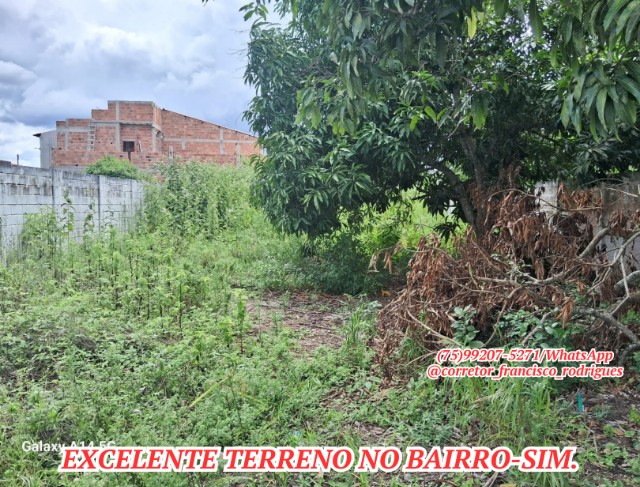 Terreno Escriturado, 559 m². Para Venda no Sim. Á 500 metros da Artêmia Pires.