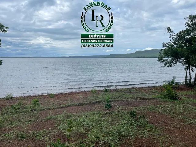 Fazenda 462 Alqueires Beira Lago Palmas Dupla Aptidão - Foto 3