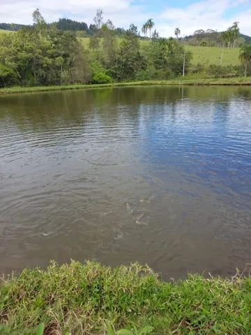 Chácara com arroio 4 açudes  - Foto 4