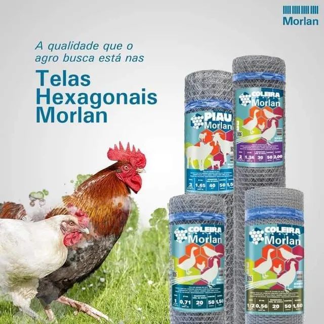 Tela galinheiro fio 18  - Foto 4