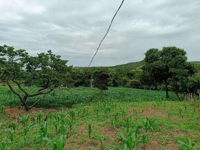 Chácara em Bela Vista de Goiás