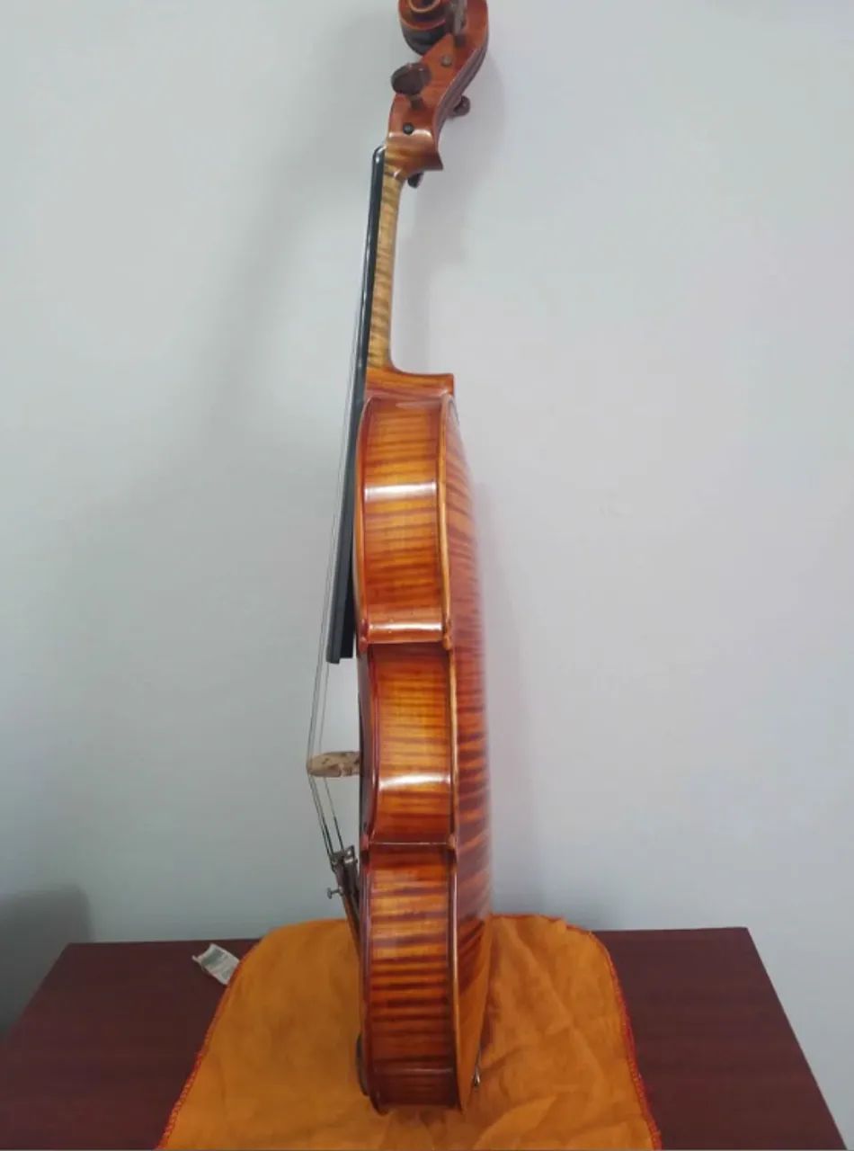 viola de arco - Foto 4