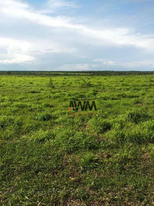 Fazenda à venda,  m² por R$ 200.000.000,00 - Zona Rural - Duerê/TO - Foto 3