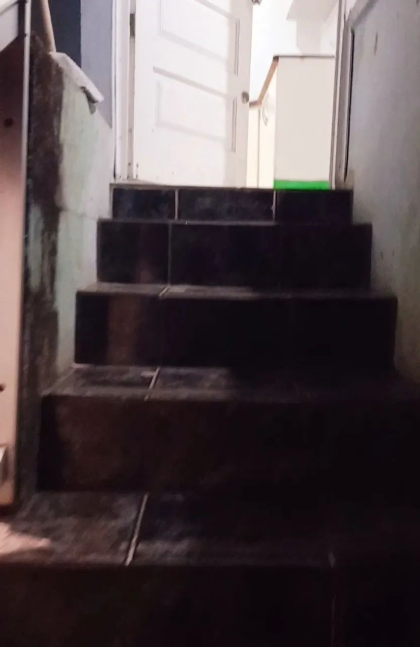 Foto - Joinville - Anita Garibaldi