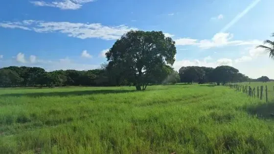 Fazenda de frente pro asfalto com 33 Alqueires