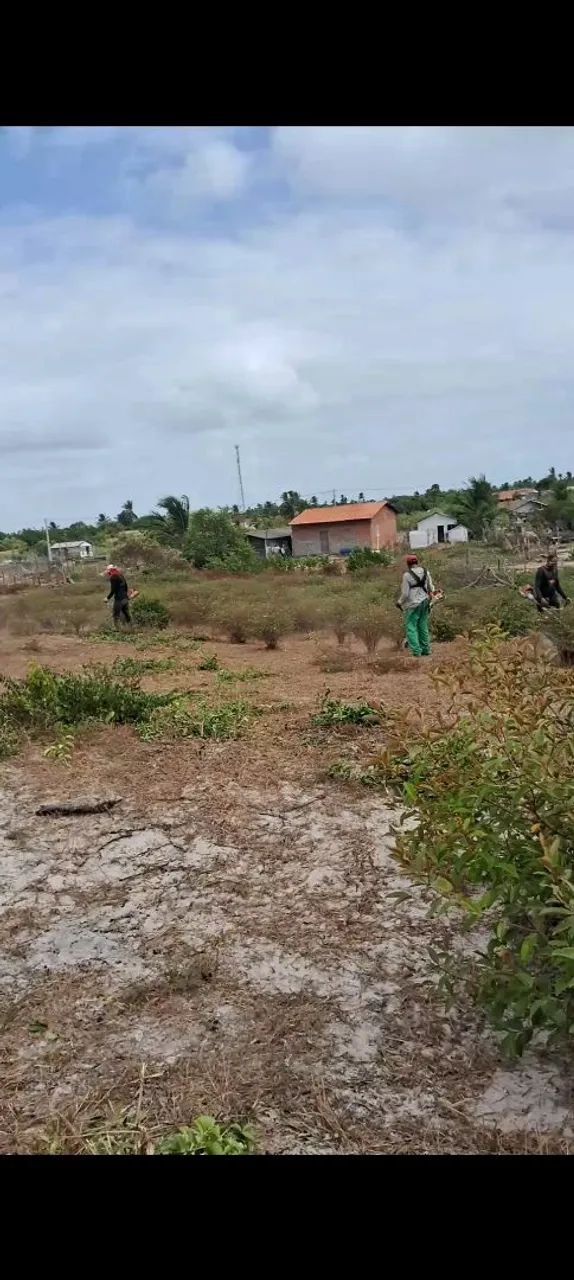 Roçagem e jardinagem * - Foto 2