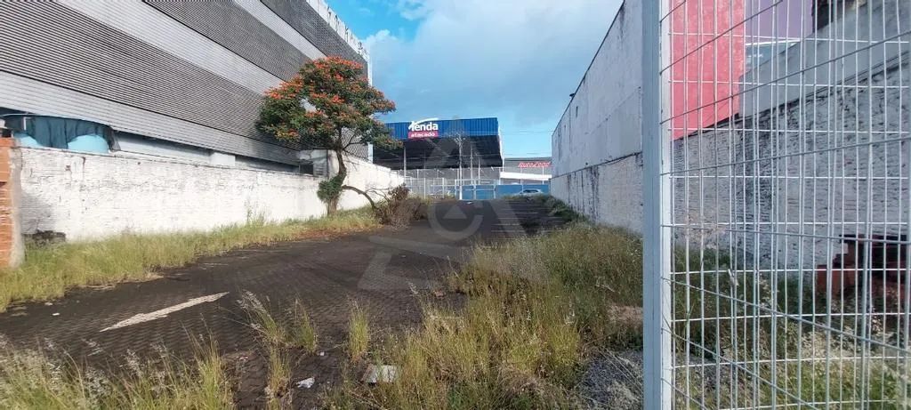 Terreno à venda em Campinas, São Bernardo, com 575 m² - Foto 3