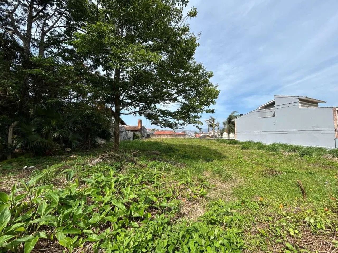 Terreno para Venda em Florianópolis, Itaguaçu