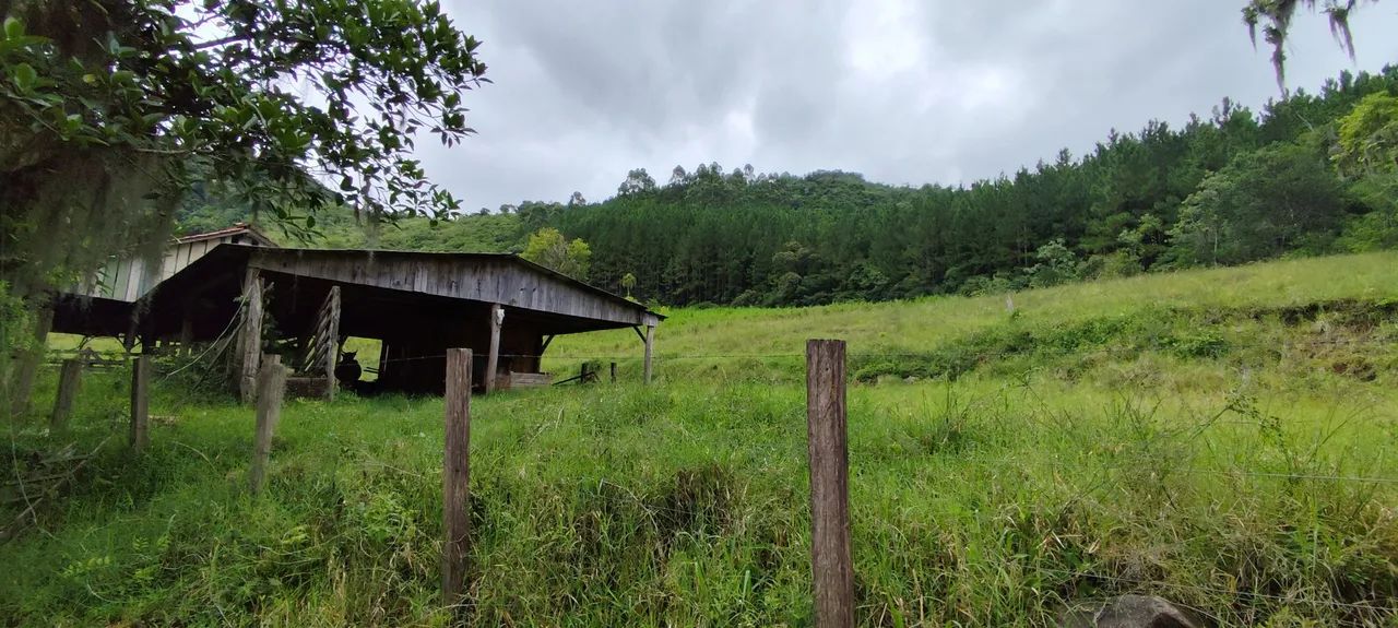 Chácara 20 hectares, valor 320,000,00 potreiro grande cercado  - Foto 3