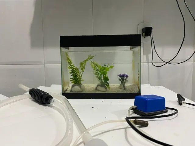 Aquário Completo com Bomba de Ar e Sifão - Foto 2