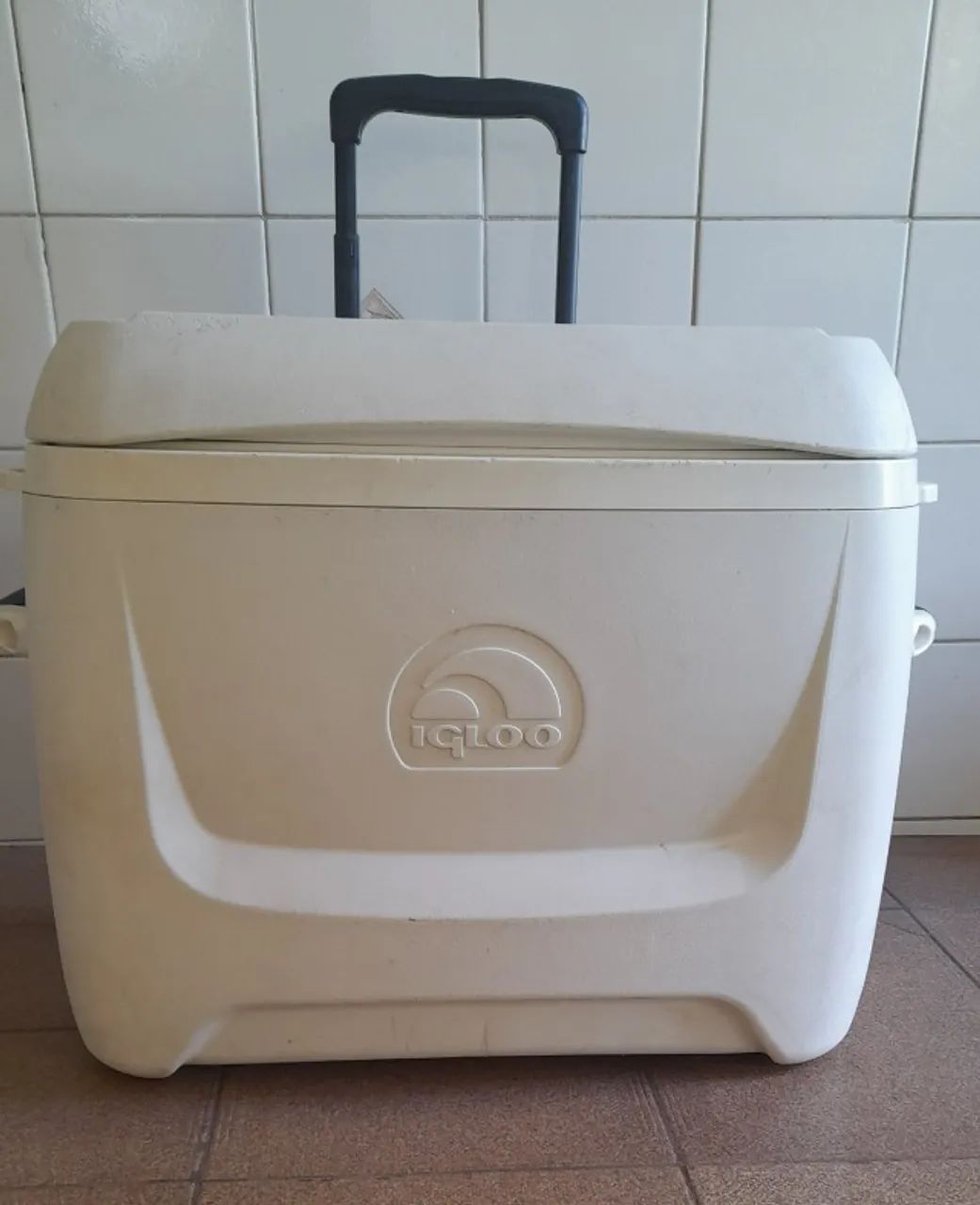 Carro Cooler