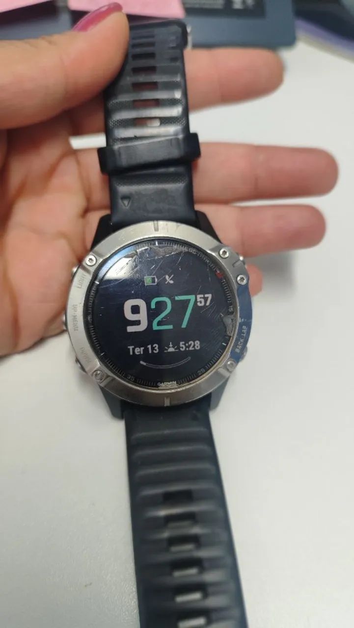 Garmin Phoenix 6