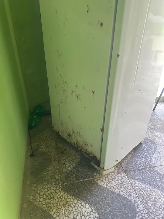 Geladeira Electrolux Usada - Foto 2