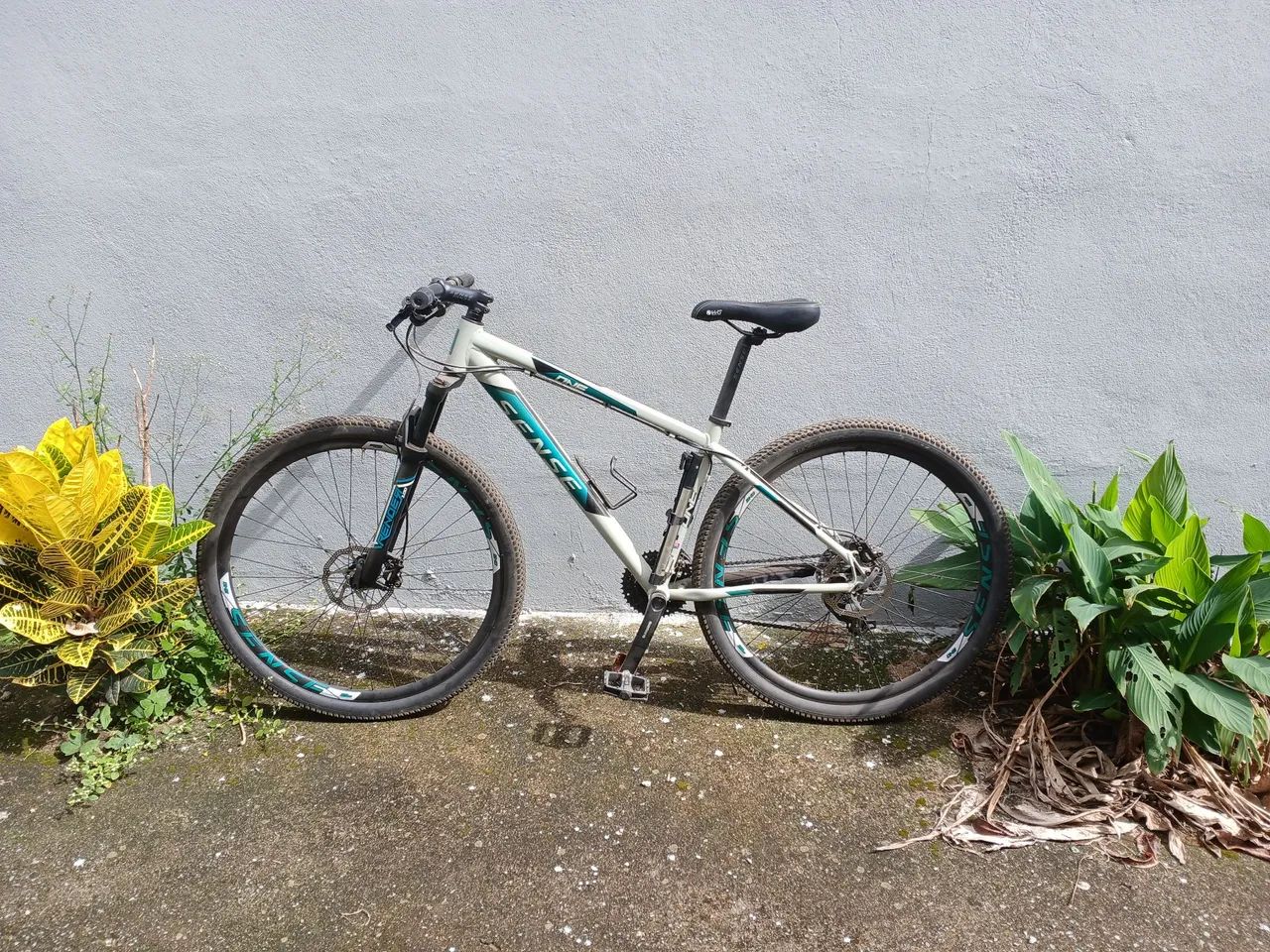 Bicicleta de Mountain Bike