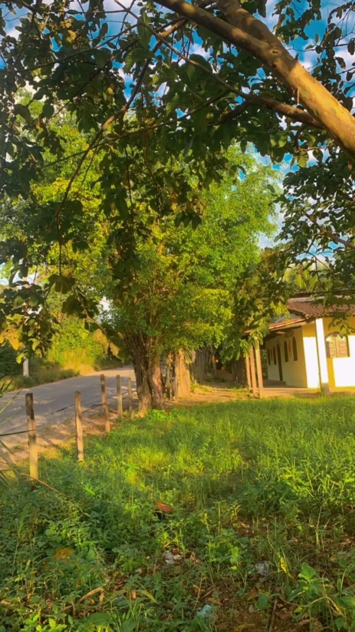 Foto - Simões Filho - 