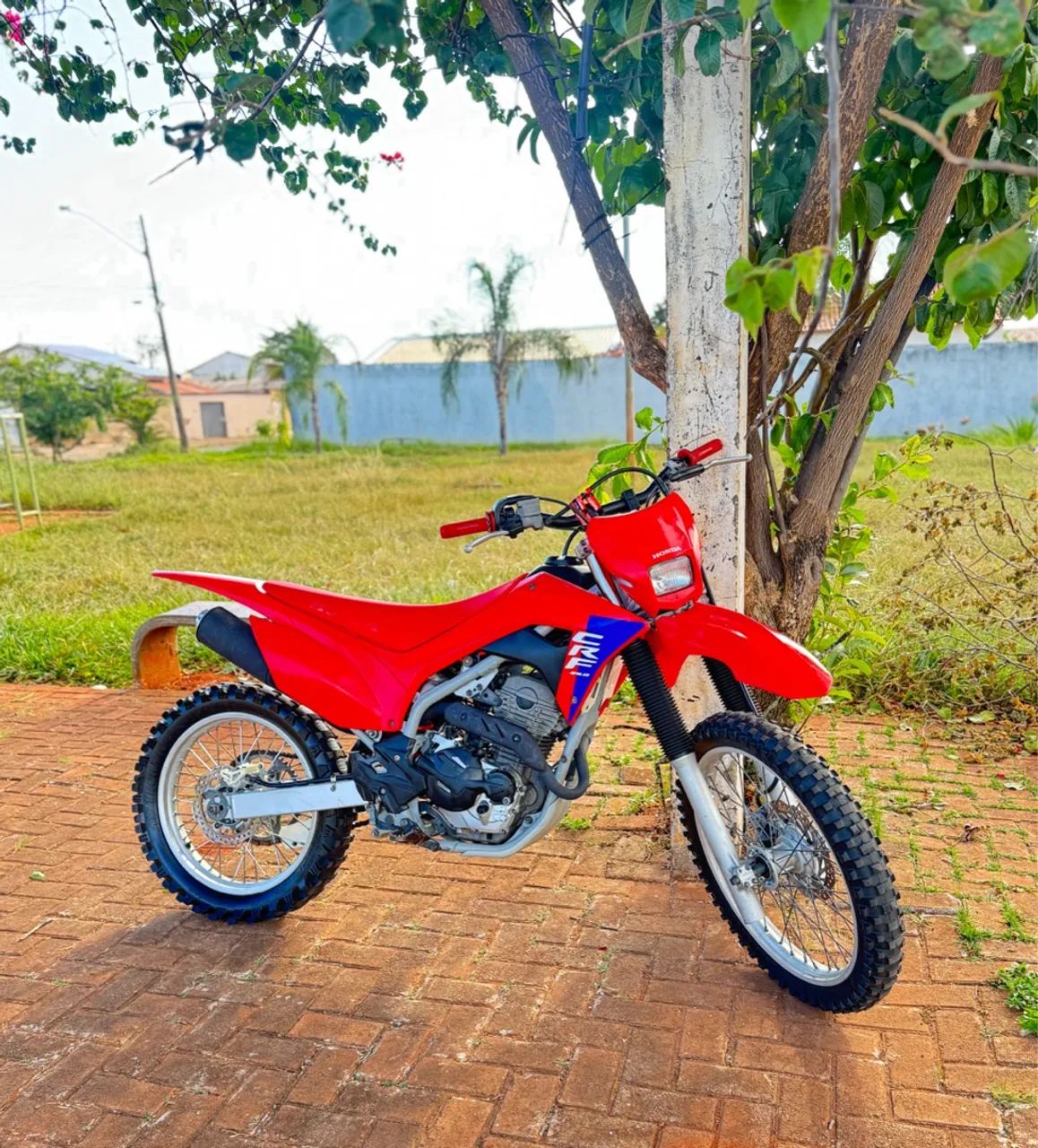 Honda 250 F 2024 - 1412612284 | OLX