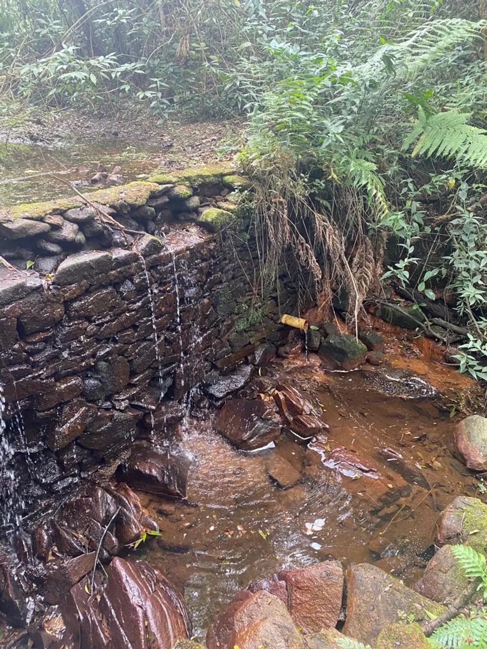 Fazenda Zona Rural Caeté MG 145 hectares 80 km de BH linda vista muita agua de nascente - Foto 2