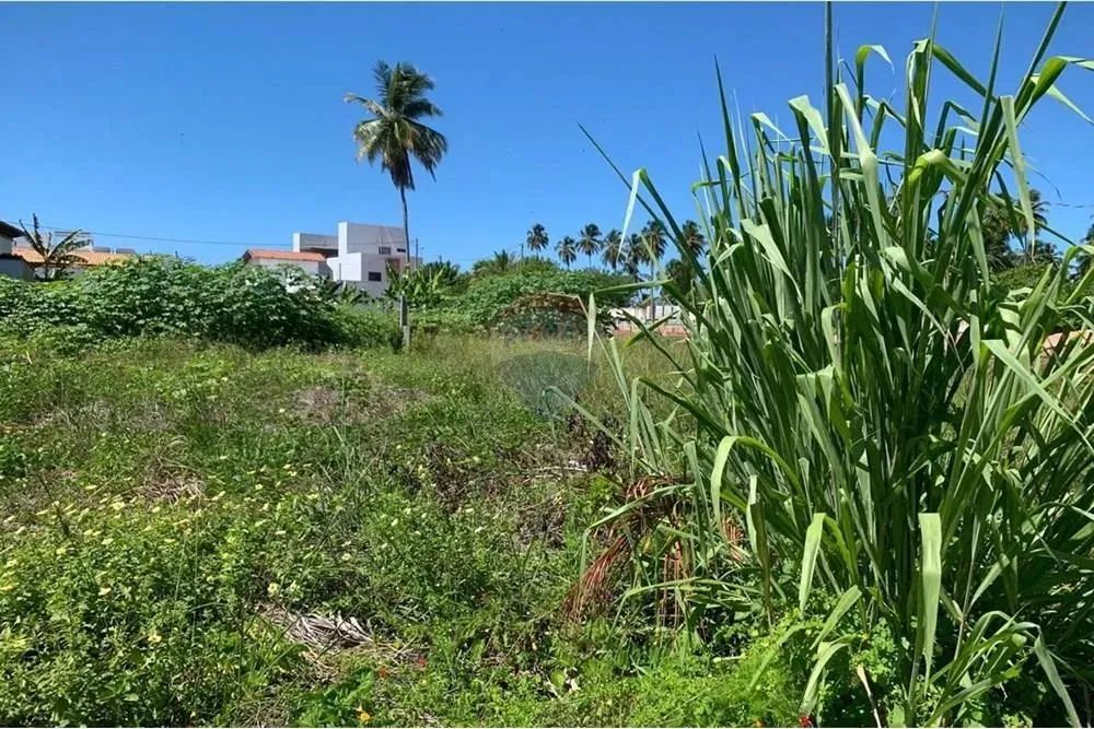 No Paraíso de Tatuamunha tem umTerreno esperando por você! - Foto 8