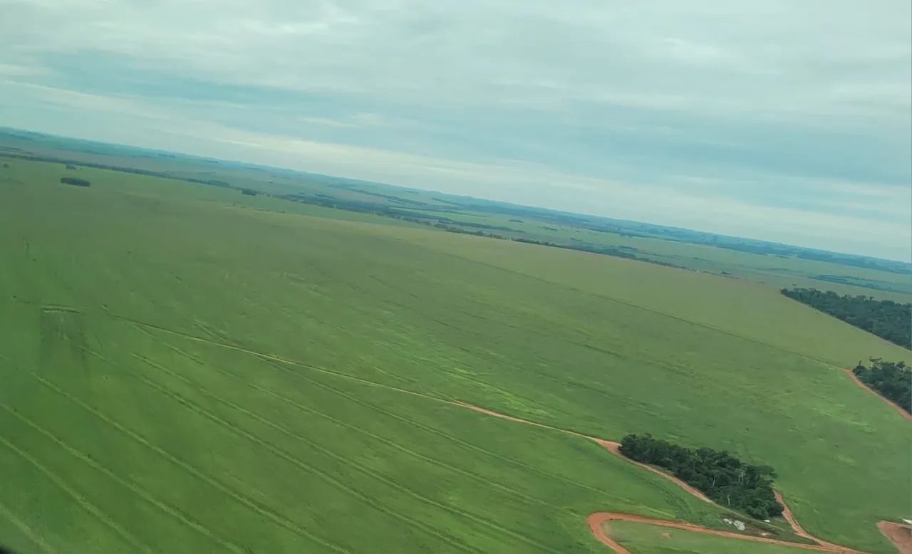 Fazenda de arrendamento 3.620 hec em Paranhos MS.  - Foto 2