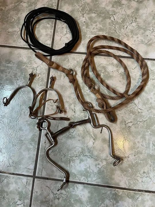 Freio,redea,esporas e lacinho para vaca parada