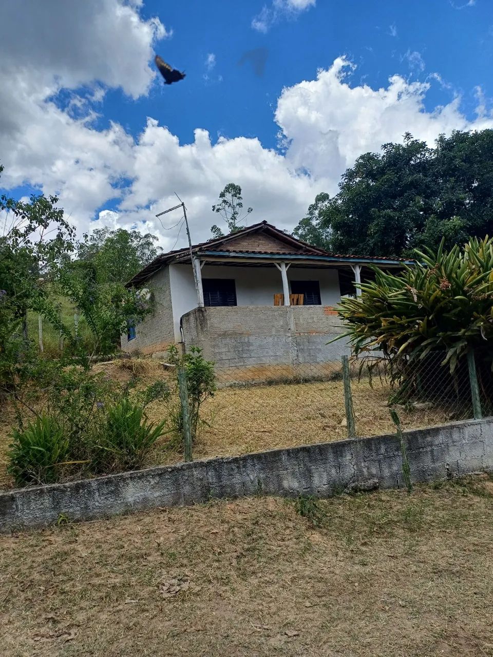 Foto - Mogi das Cruzes - Jardim Santa Carolina