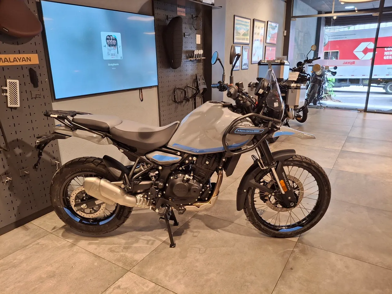 Himalayan Poppy Blue 450cc  - Amanda 