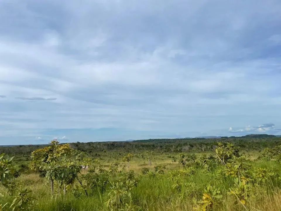 Fazenda para Venda em Santa Maria do Tocantins, Santa Maria do Tocantins