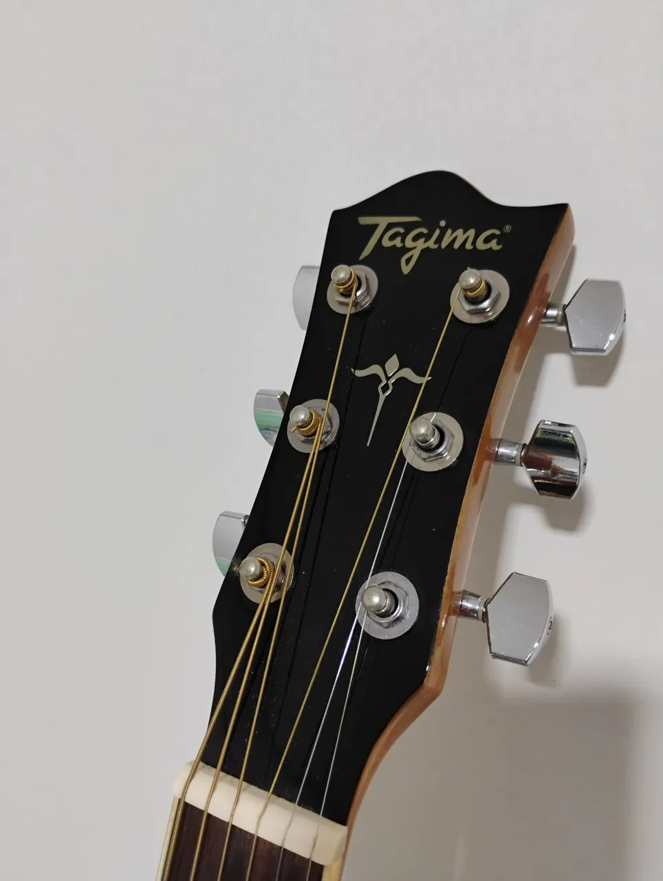 Violão Tagima WS20 SEMI NOVO