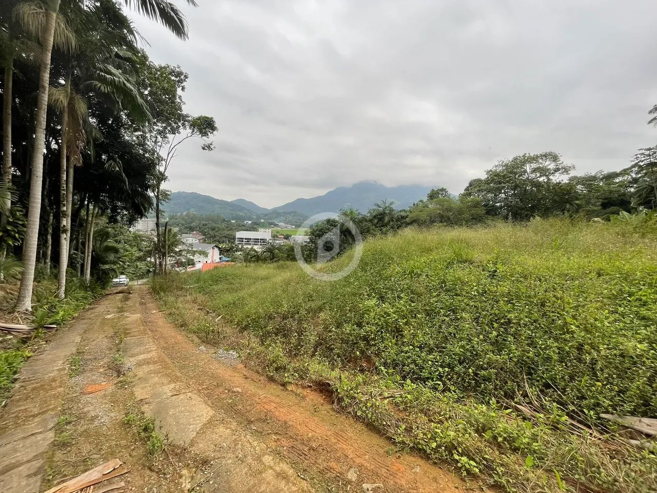 Terreno amplo próximo da FAMEG - Foto 5