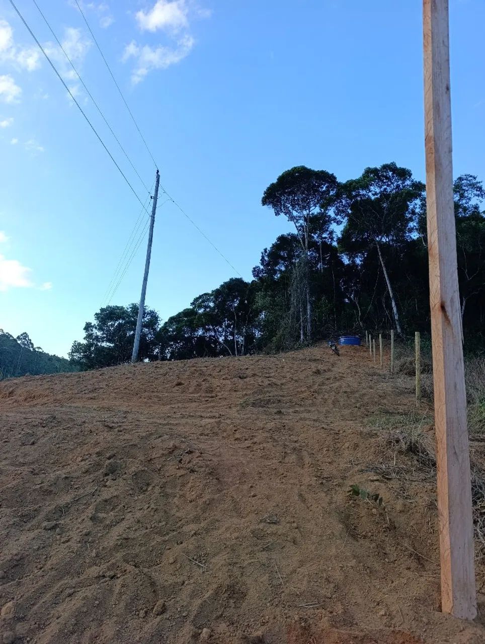 Terreno 5.000m² em holandinha - Foto 3