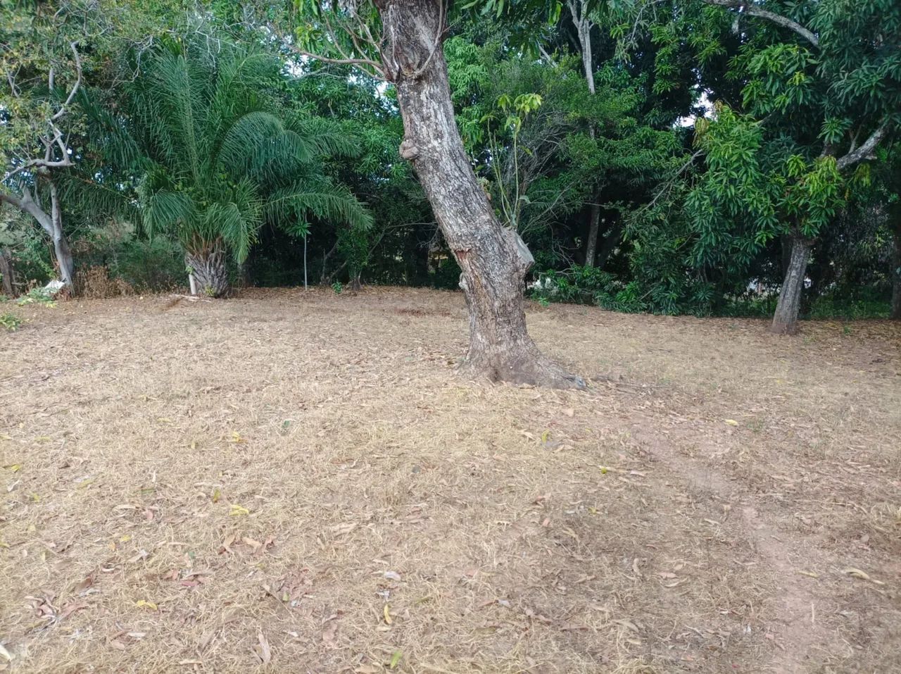 Vende-se chácara cell * - Foto 4