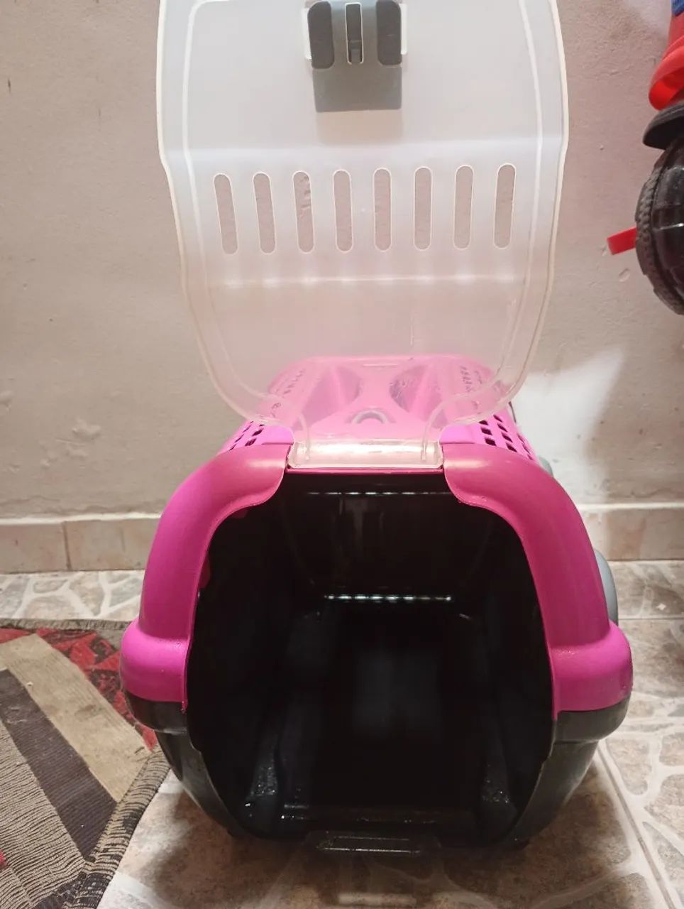 Casinha de Gato 