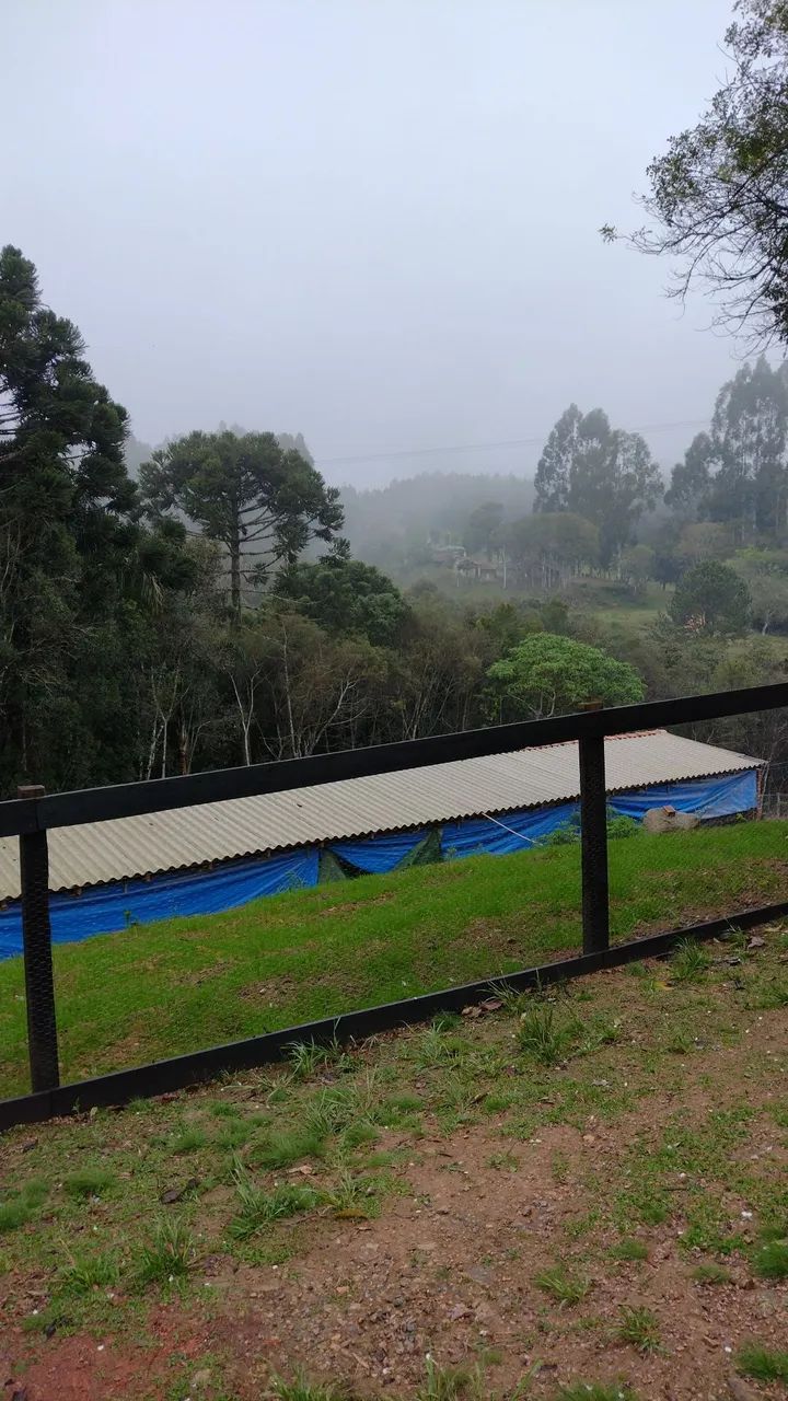 CHACARA EM MANDIRITUBA  - Foto 2