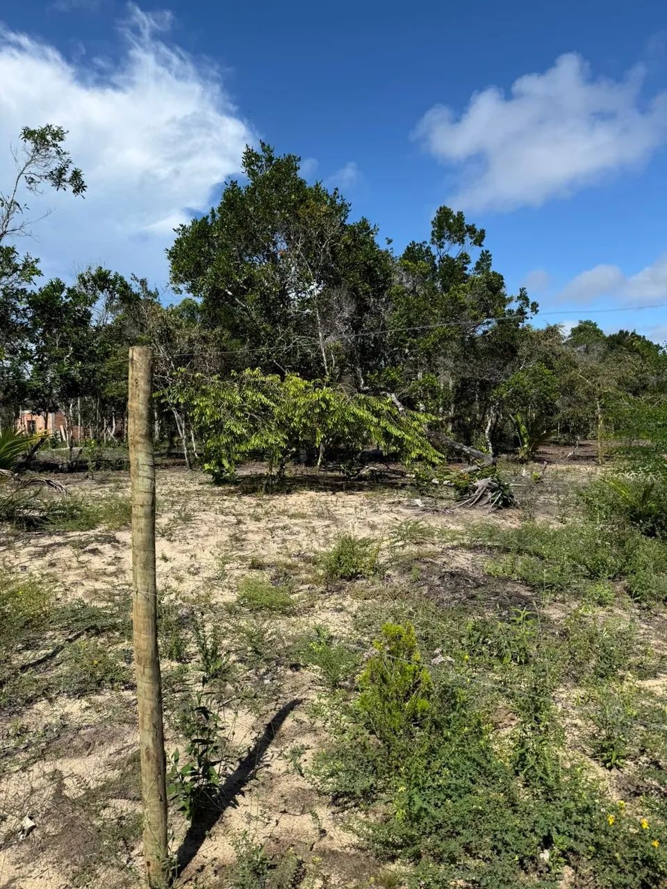 Terreno em Arraial d`Ajuda - Foto 3
