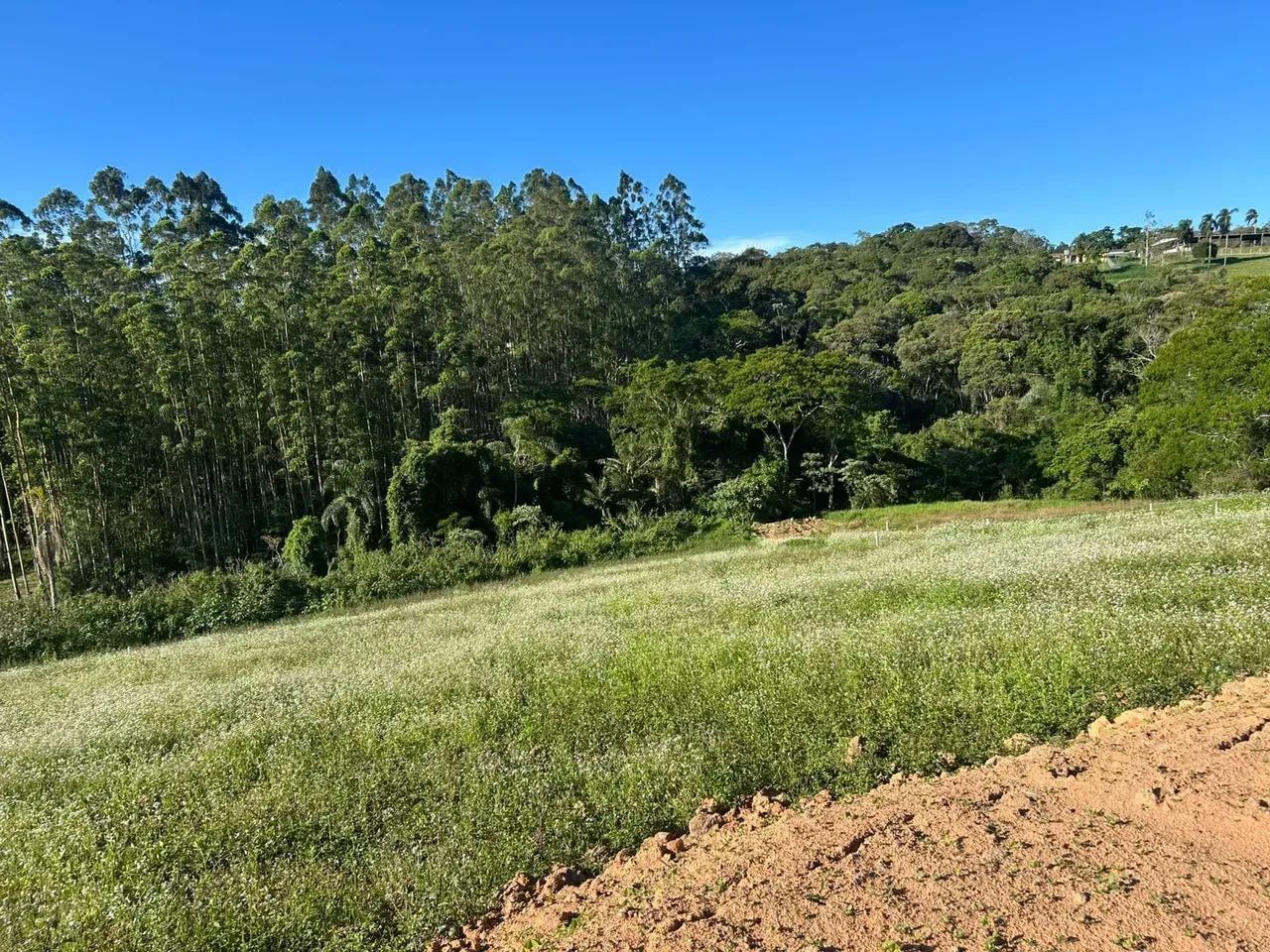 TEM VEÍCULO? ELE PODE ENTRAR NO NEGÓCIO! - Foto 2