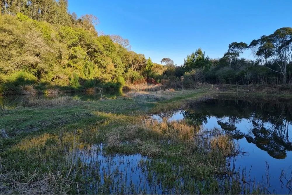 Chácara à venda com 52.000m² e cinco tanques em Mandirituba - Foto 3