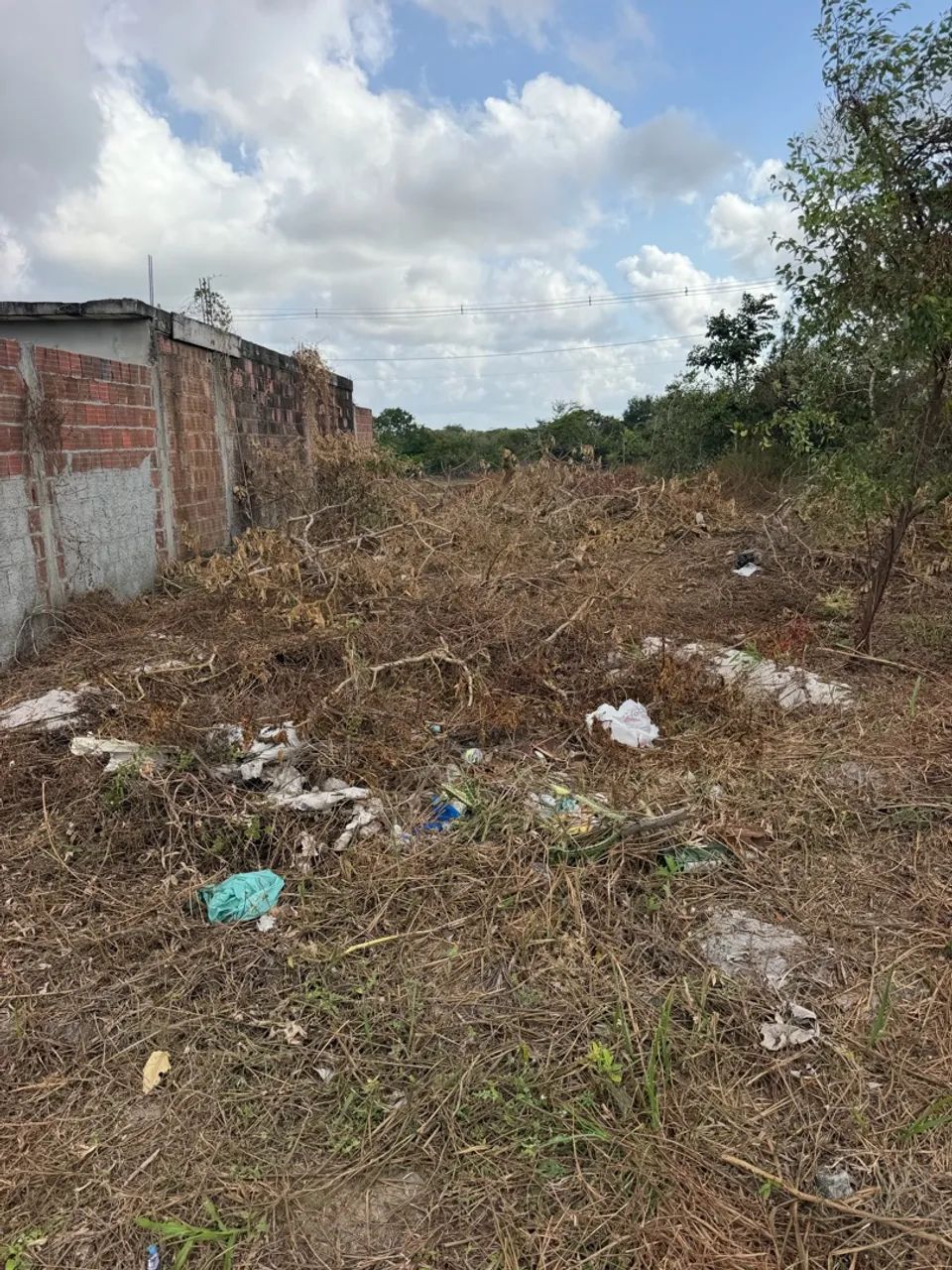Vendo lotes no conde - Pb - Foto 2