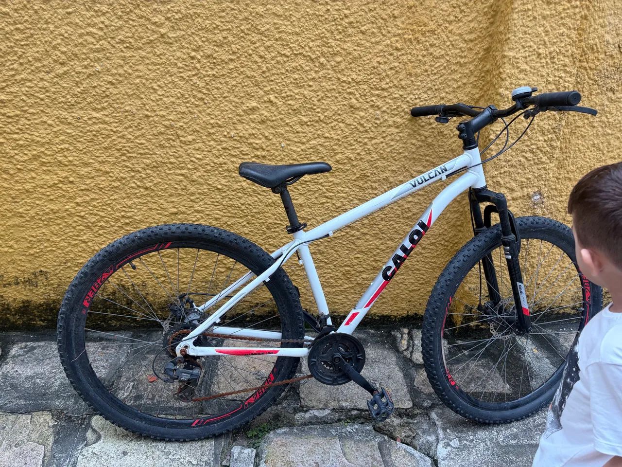 bicicleta 