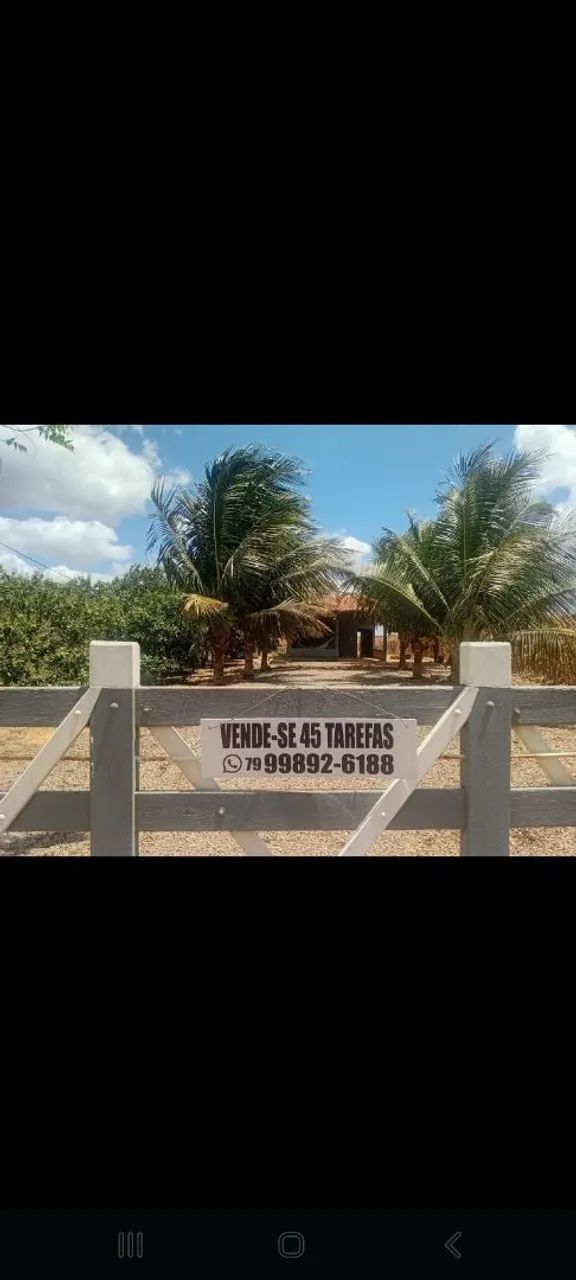 Propriedade rural medindo 45 tarefas.