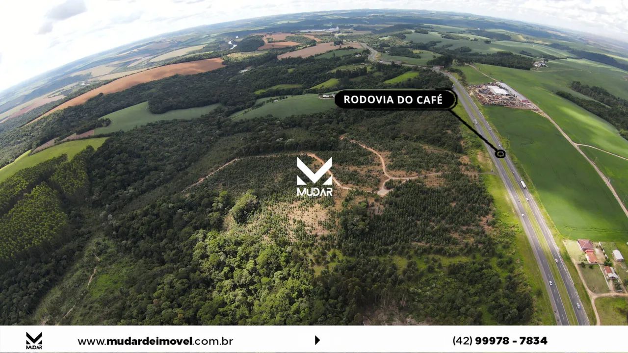 Área de frente pra BR 376 com 12 alqueires prox a Ambev - Foto 3