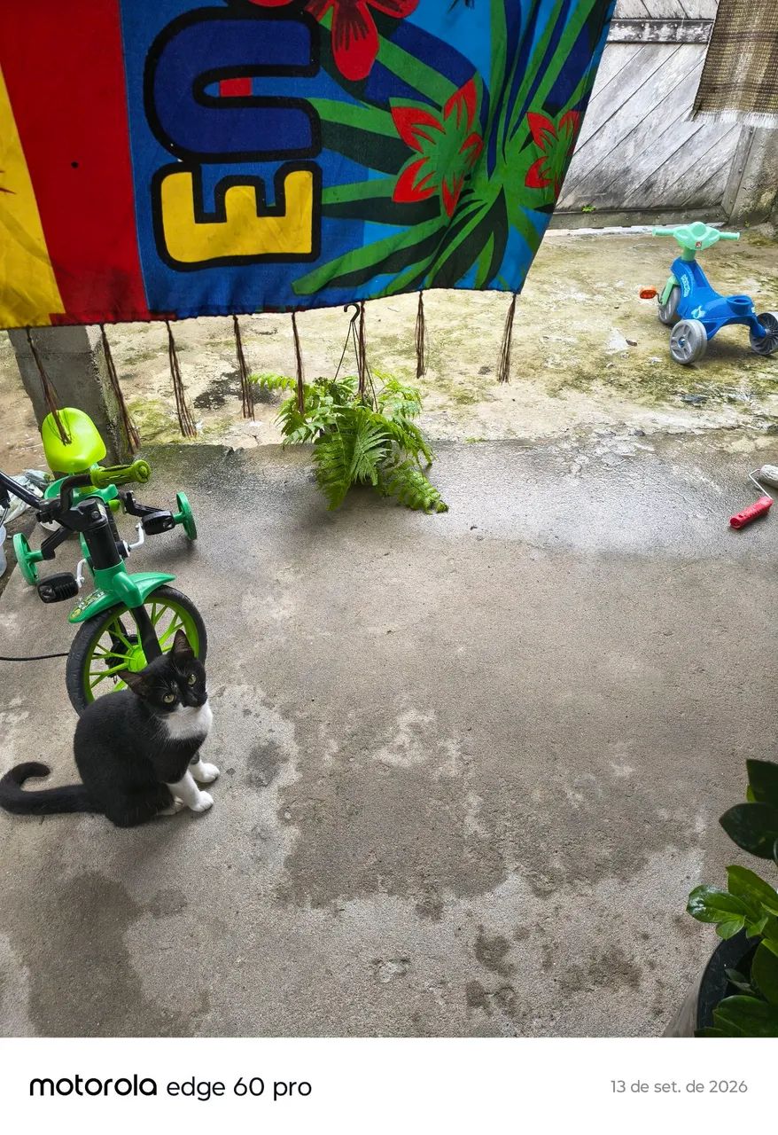 Doação 