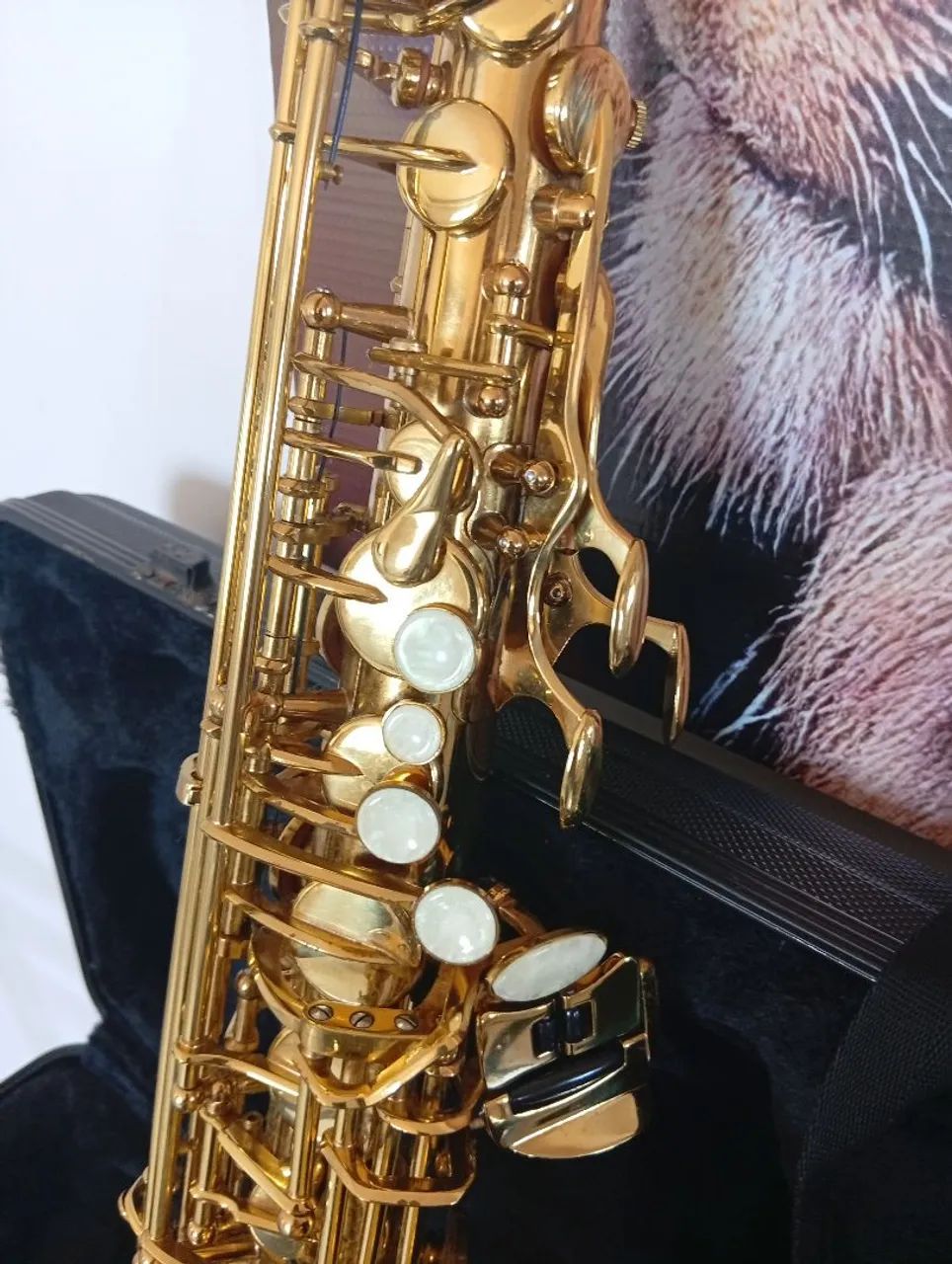 Saxofone Alto - Foto 3